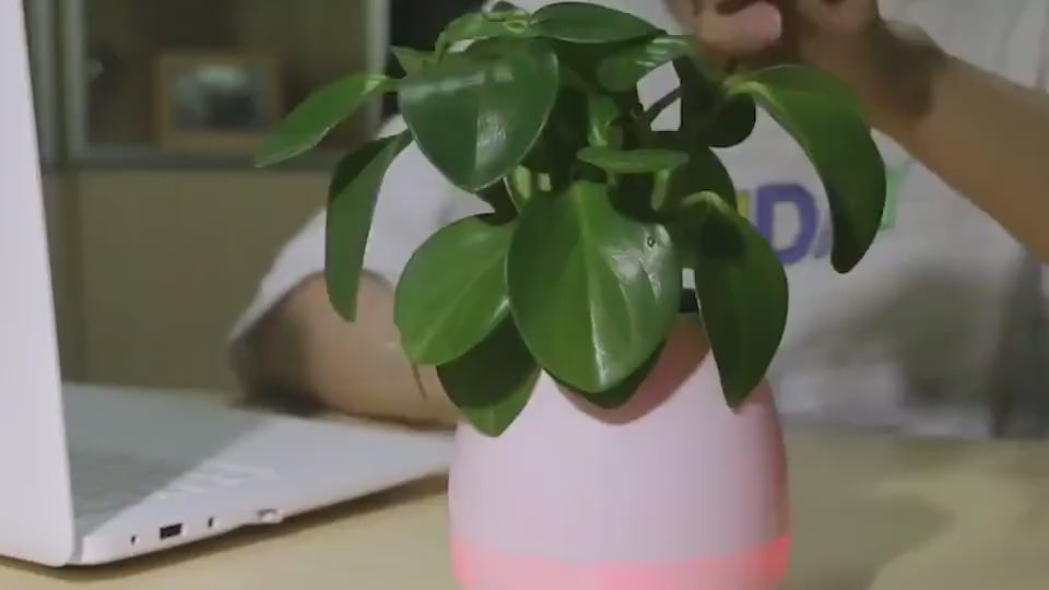 Touch-sensitive music vase desktop audio